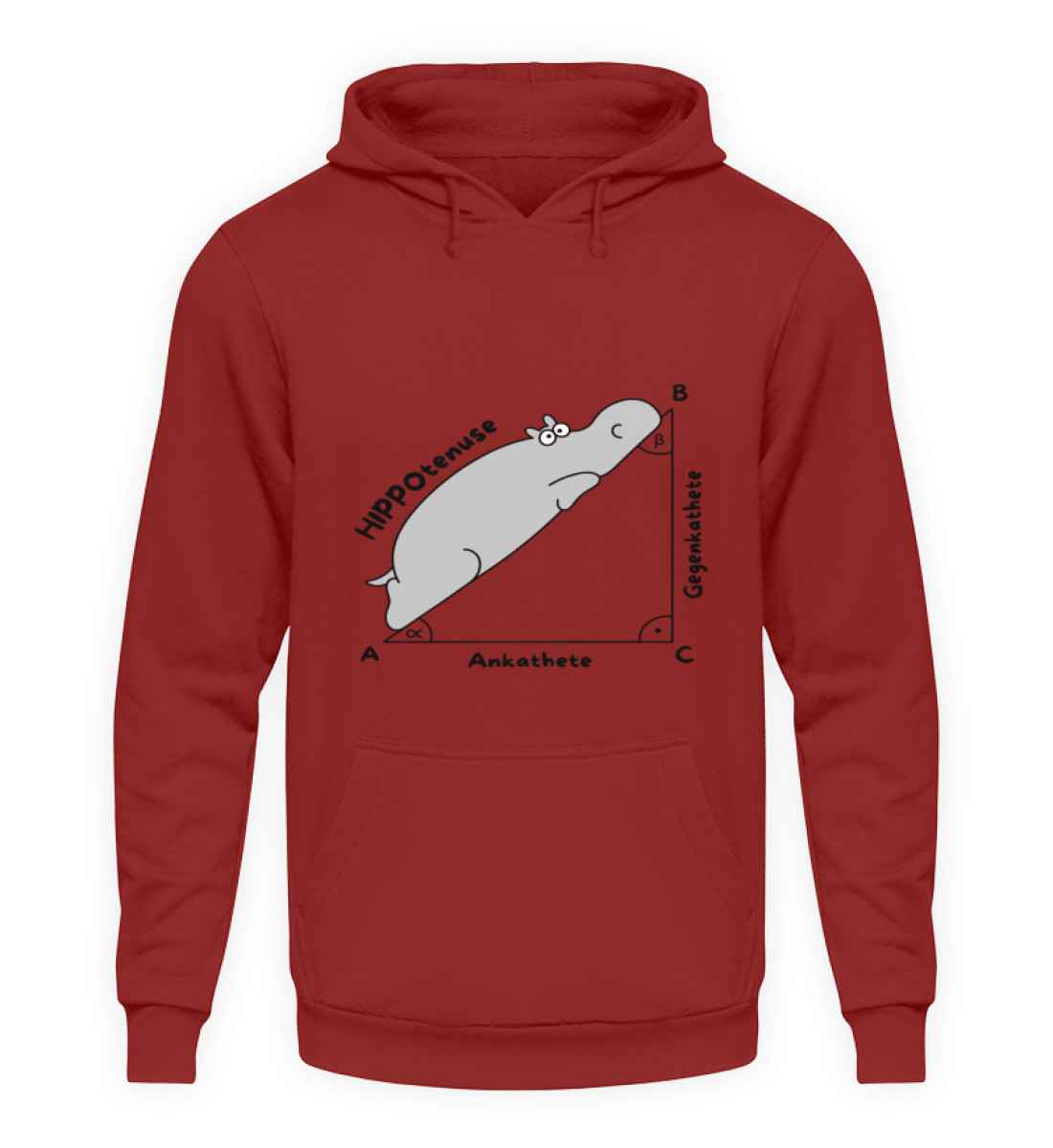 Hippotenuse Unisex Hoodie flash - Unisex Kapuzenpullover Hoodie-1503